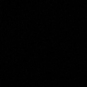 Meet your Posher, Kynsley